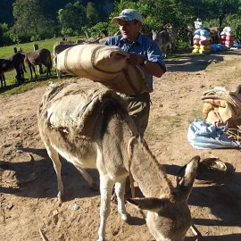 tarija02