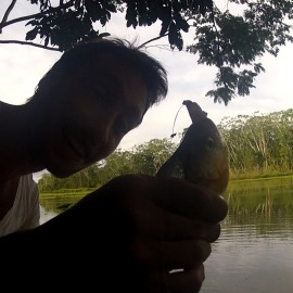 pêche au piranha