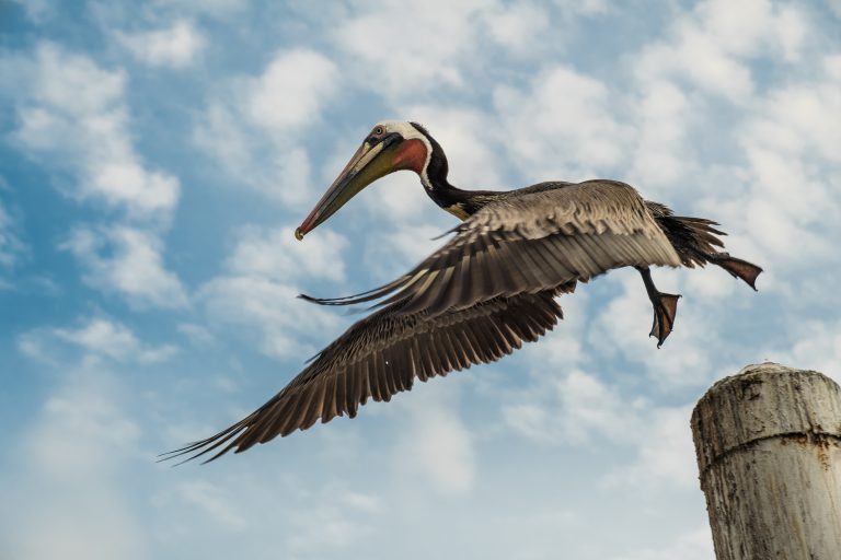 Cycling Togeth'Earth