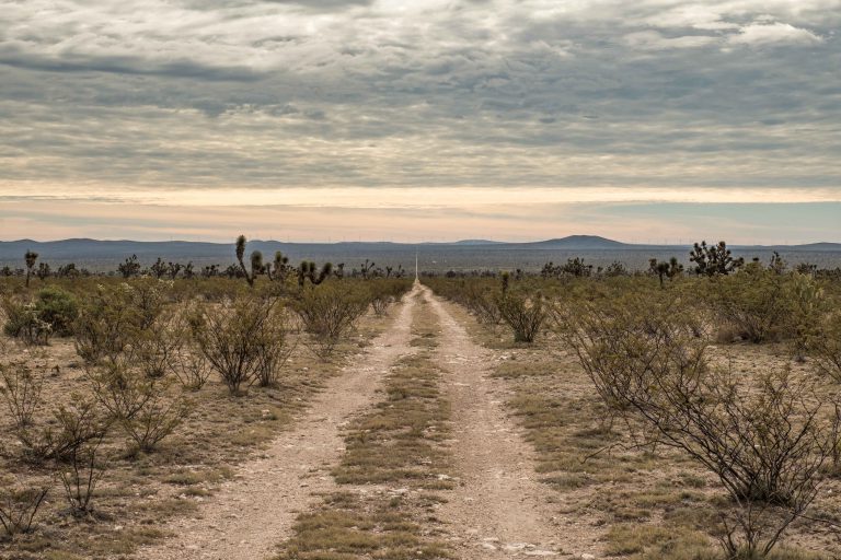 Cycling Togeth'Earth