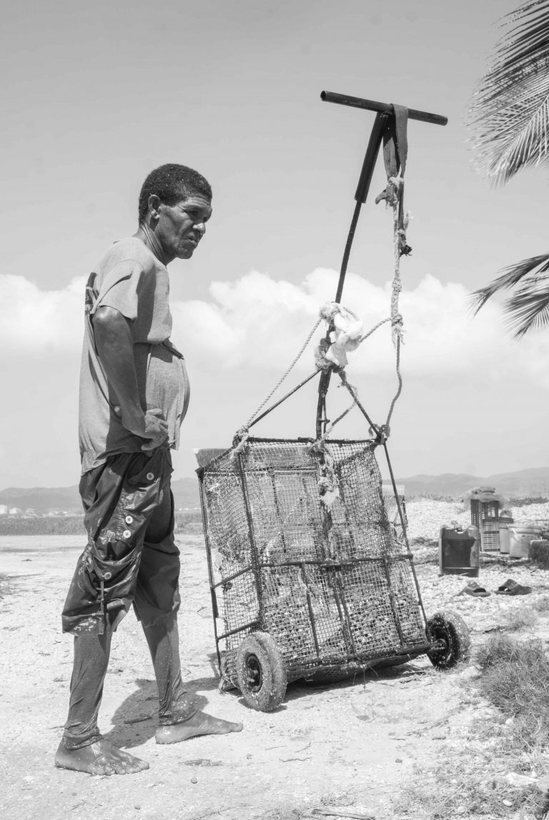 Cycling Togeth'Earth