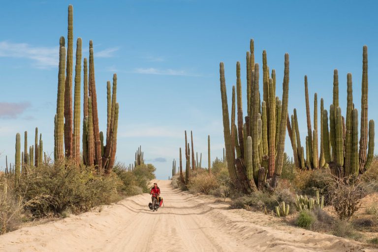Cycling Togeth'Earth