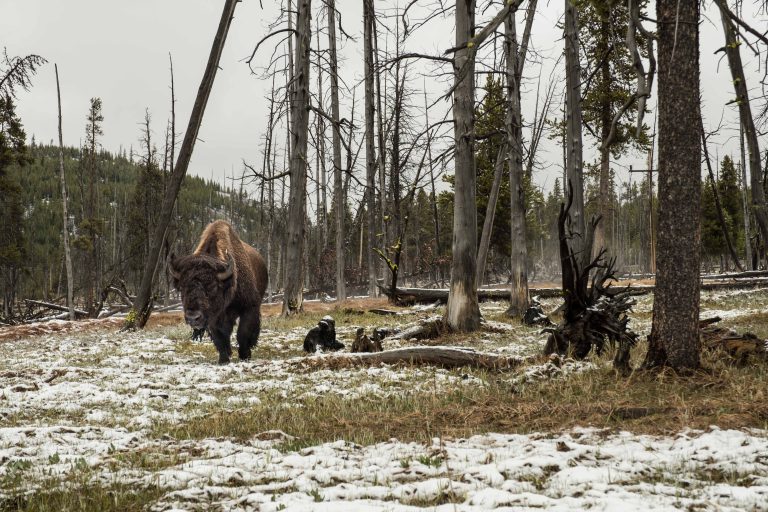 Cycling Togeth'Earth