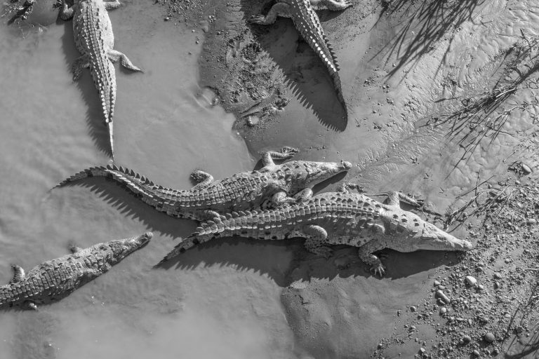 Cycling Togeth'Earth