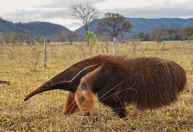 Cycling Togeth'Earth