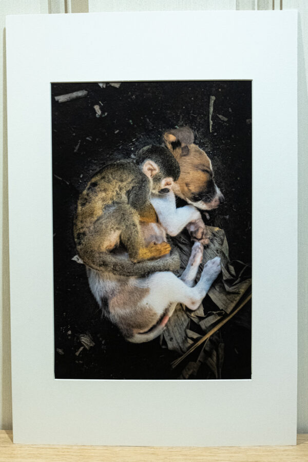 Photographies Fine-Art 60x40 cm