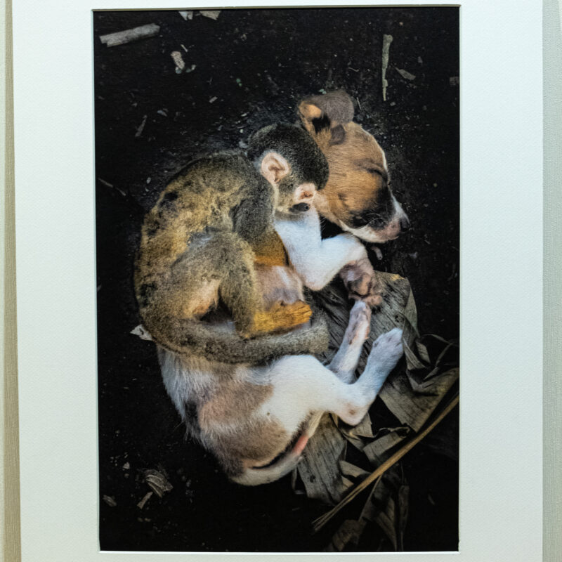 Photographies Fine-Art 60x40 cm