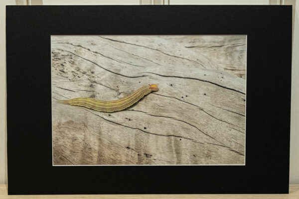 Photographies Fine-Art 60x40 cm