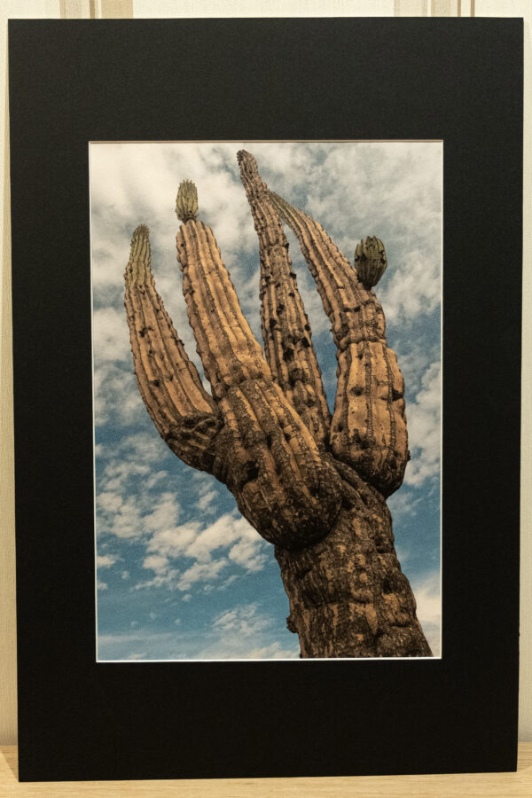 Photographies Fine-Art 60x40 cm