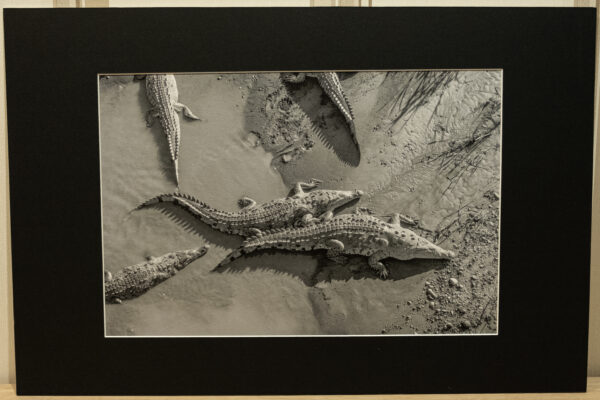 Photographies Fine-Art 60x40 cm